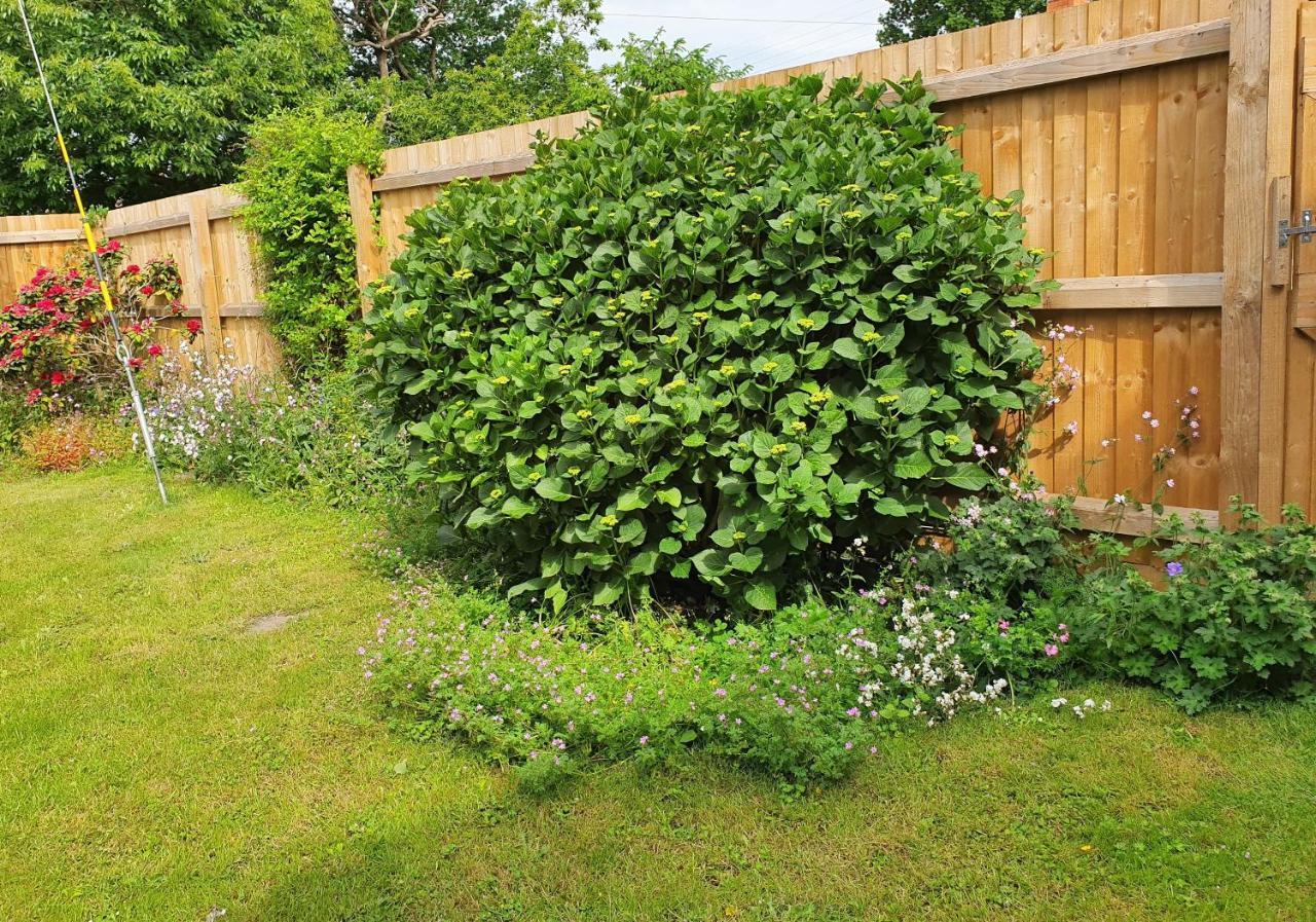 Forest Farm Papplewick Nottingham - Spacious Self-Contained Rural Retreat! Exterior foto